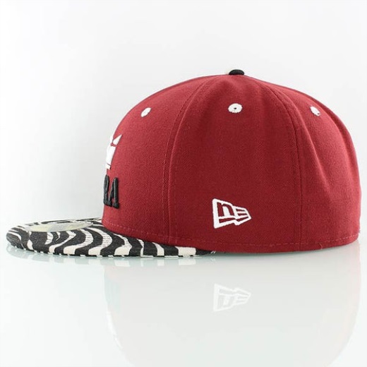 新時代の赤いシマウマの上のスープラ