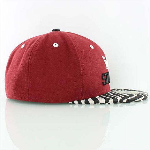 新時代の赤いシマウマの上のスープラ